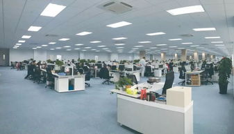 新大洲本田 厚積薄發(fā),逆勢(shì)方見(jiàn)功底