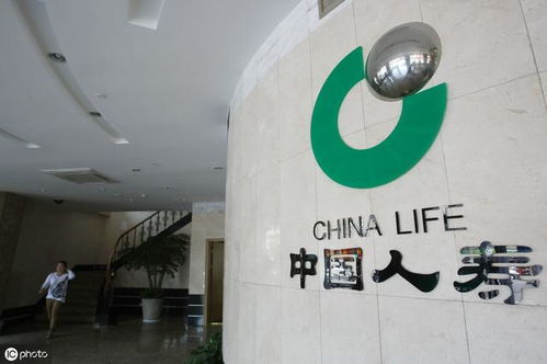 中國人壽保險.集團上線轉拍網(wǎng)